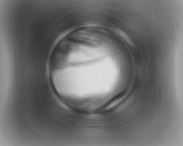 X0000113990839200910091336