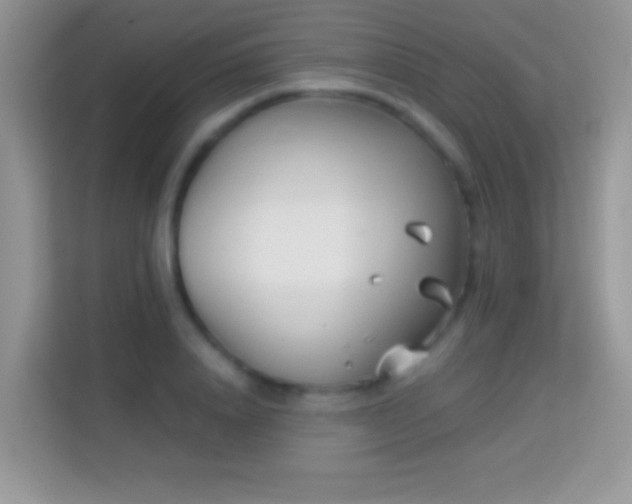 X0000113990840200910091336