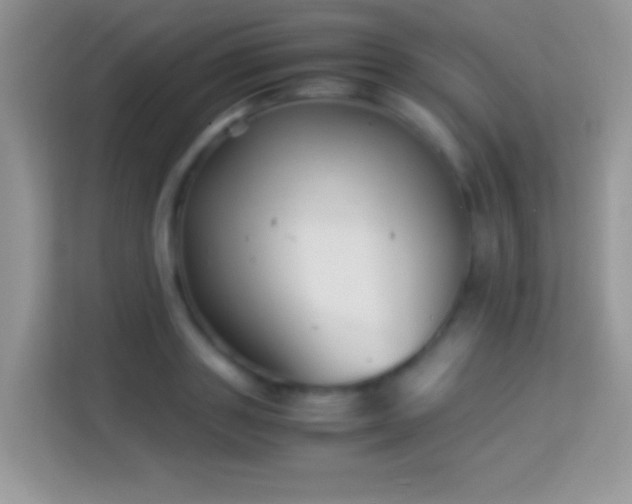 X0000113990843200910091336