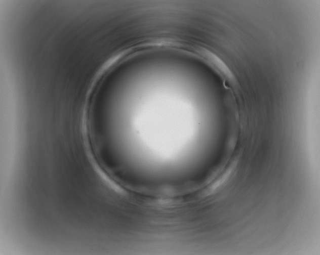 X0000113990847200910091337