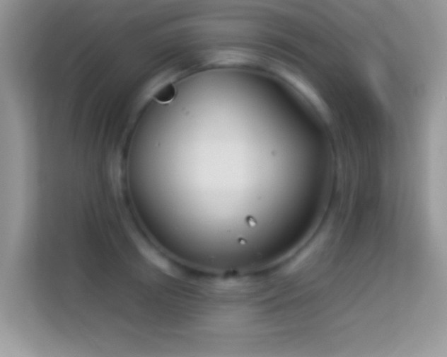 X0000113990850200910091337