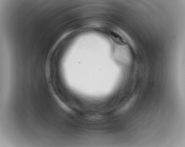 X0000113990851200910091337