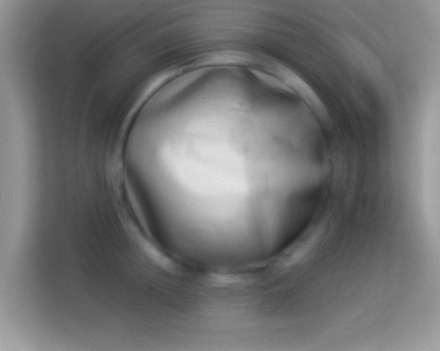 X0000113990852200910091337