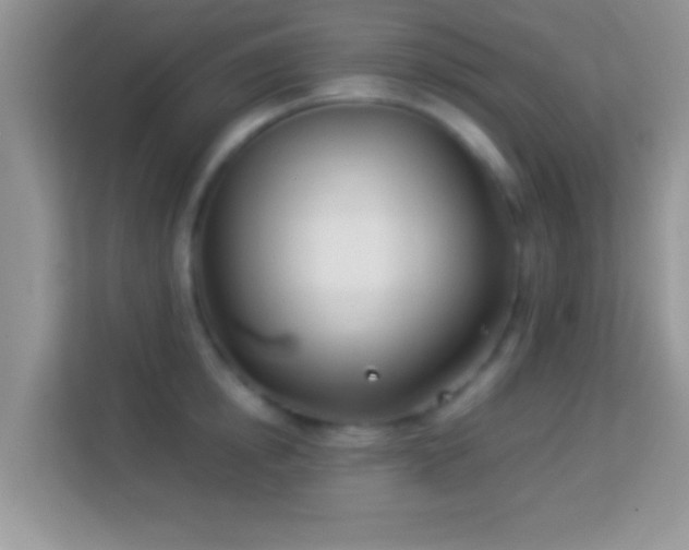 X0000113990854200910091337