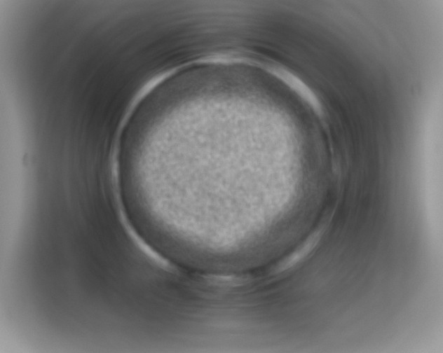 X0000113990855200910091337