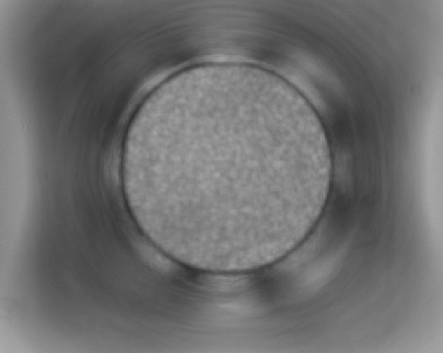 X0000113990856200910091337