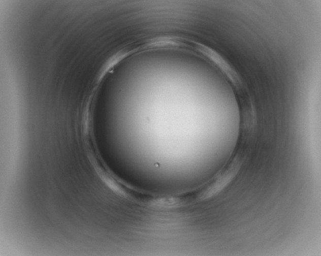 X0000113990858200910091337