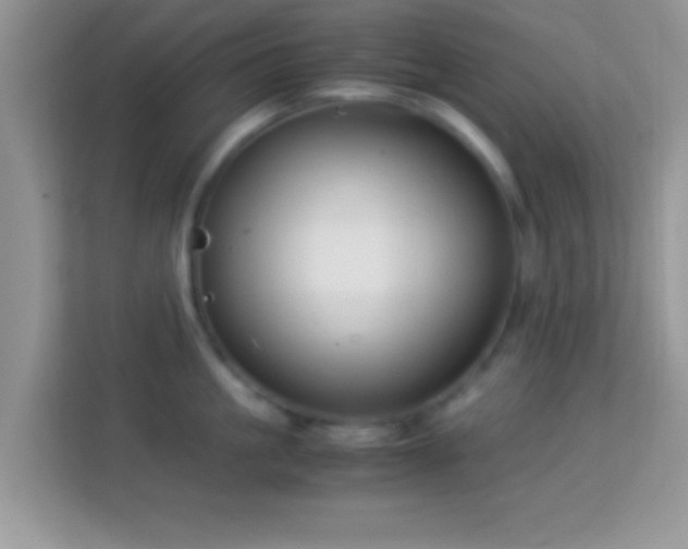 X0000113990861200910091337