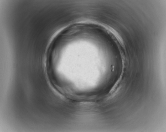 X0000113990863200910091337