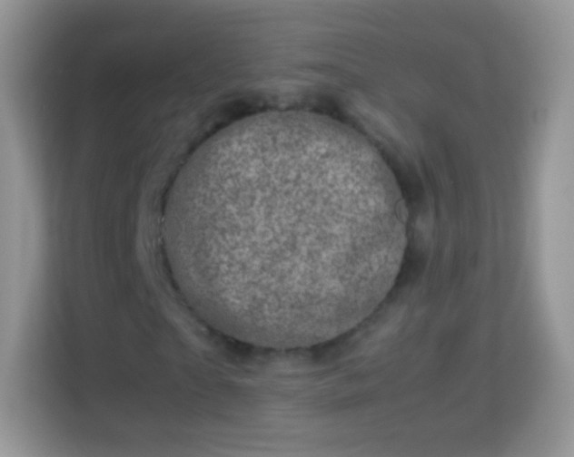 X0000113990865200910091336