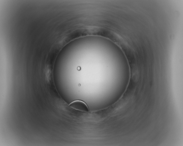 X0000113990866200910091336