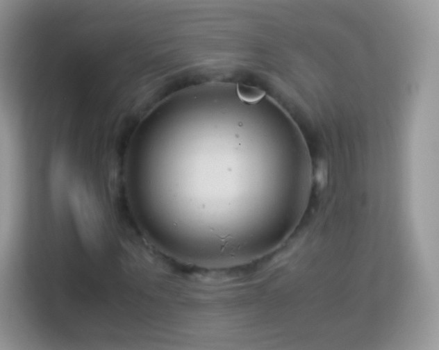 X0000113990867200910091336