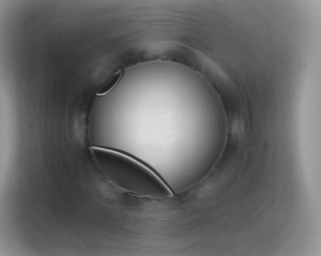 X0000113990868200910091336