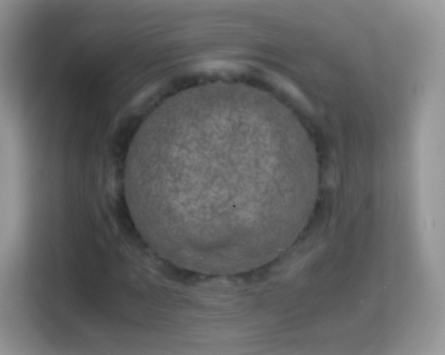 X0000113990869200910091336