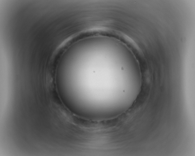 X0000113990872200910091336