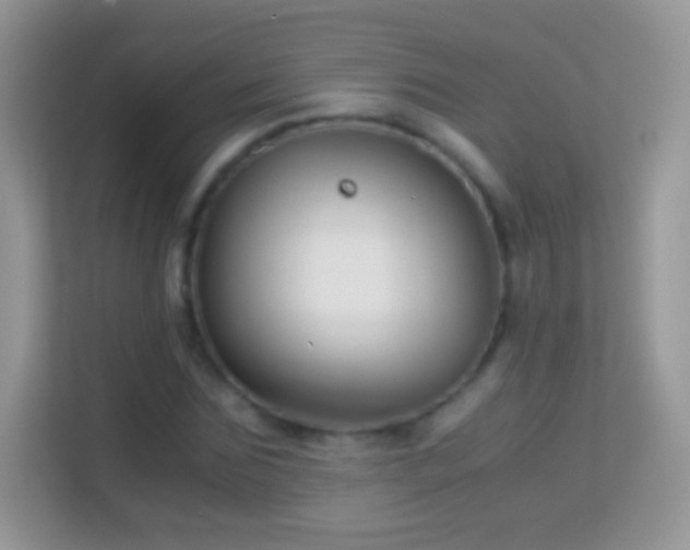 X0000113990875200910091336