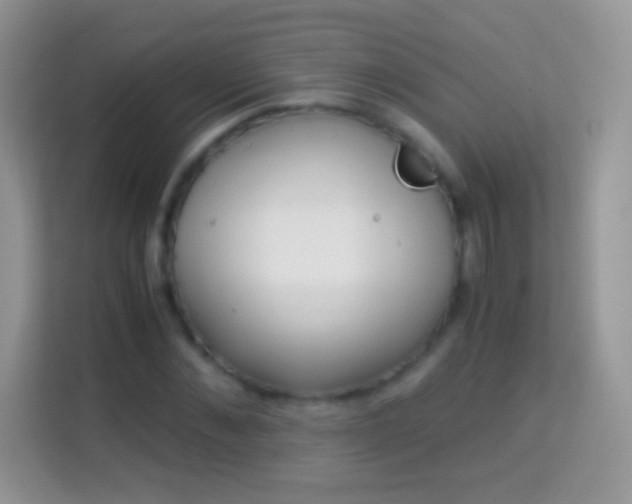 X0000113990876200910091336