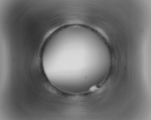 X0000113990879200910091336