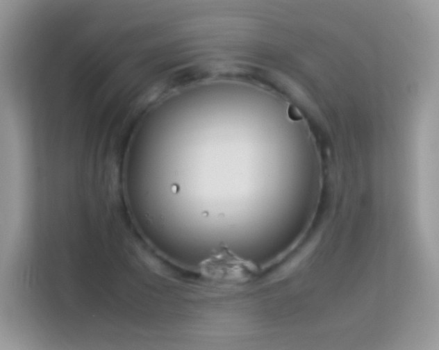 X0000113990881200910091336