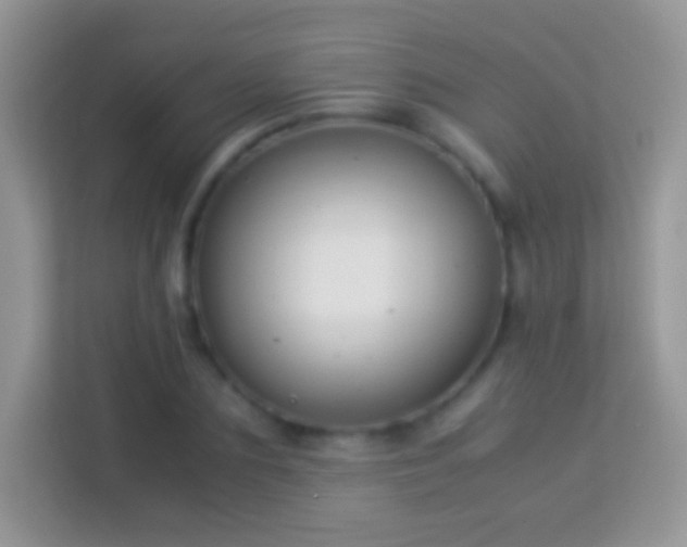 X0000113990883200910091336