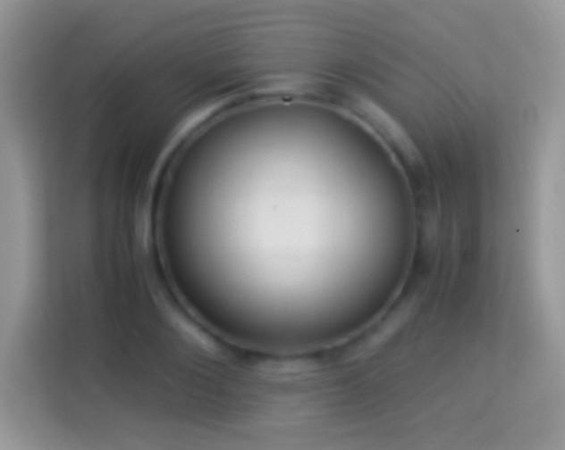 X0000113990884200910091336