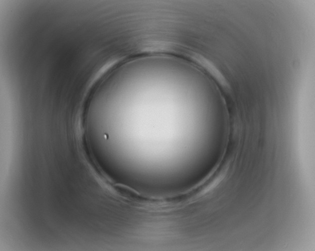 X0000113990885200910091336