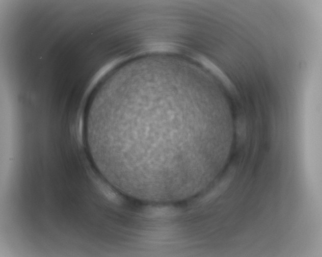 X0000113990886200910091336