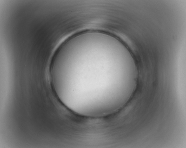 X0000113990887200910091336