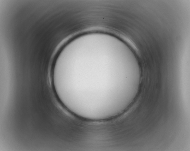 X0000113990888200910091336