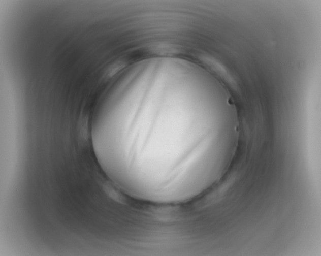 X0000113990889200910091336