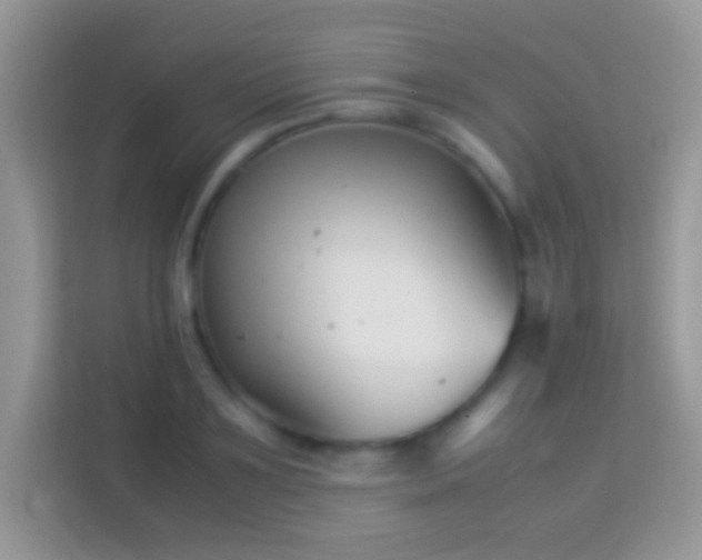 X0000113990891200910091336