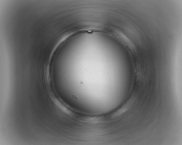 X0000113990892200910091336