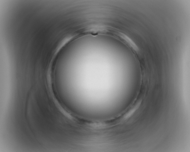 X0000113990893200910091336