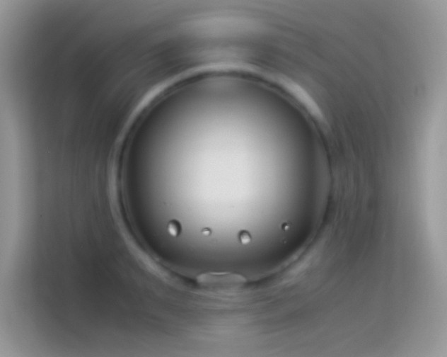 X0000113990895200910091336