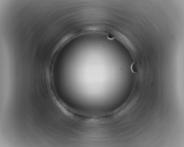 X0000113990898200910091336