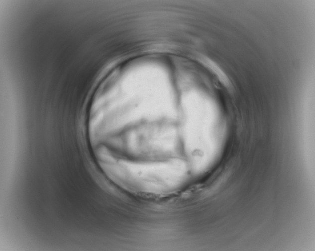 X0000113990899200910091336