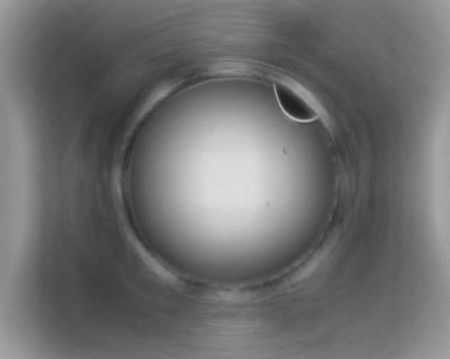 X0000113990901200910091336