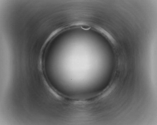 X0000113990902200910091336