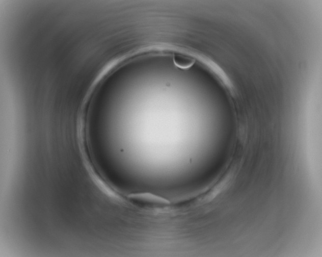 X0000113990903200910091336