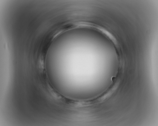 X0000113990905200910091336