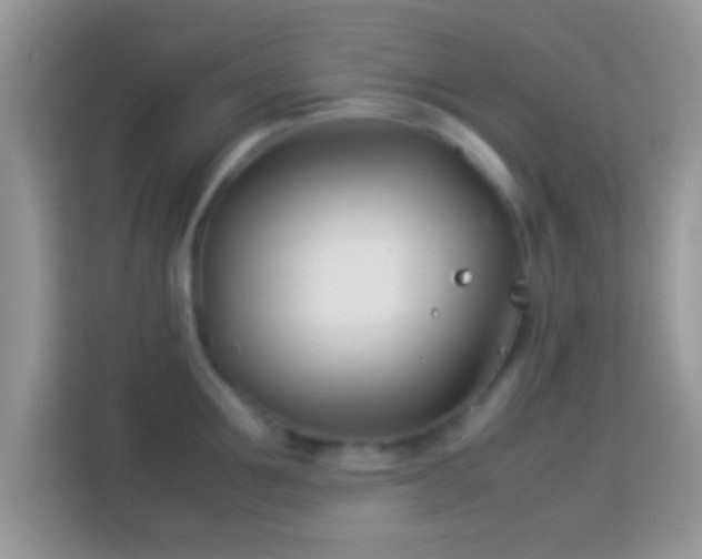 X0000113990907200910091336