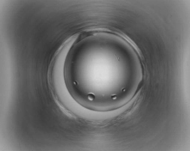 X0000113990909200910091336