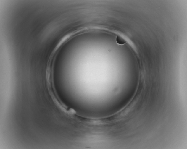 X0000113990911200910091336