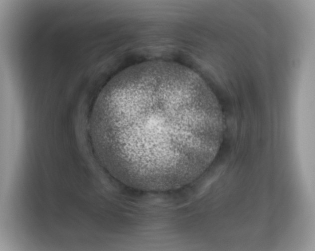 X0000113990913200910091335