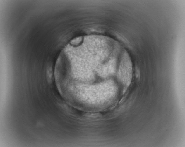 X0000113990915200910091335