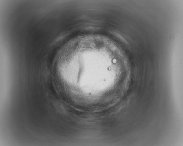 X0000113990917200910091335