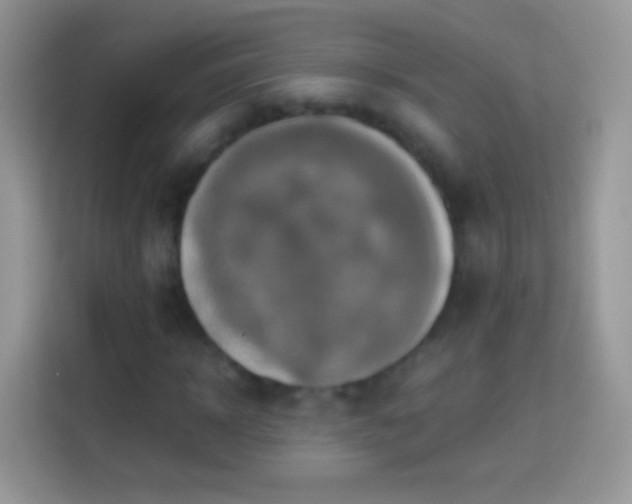 X0000113990918200910091335