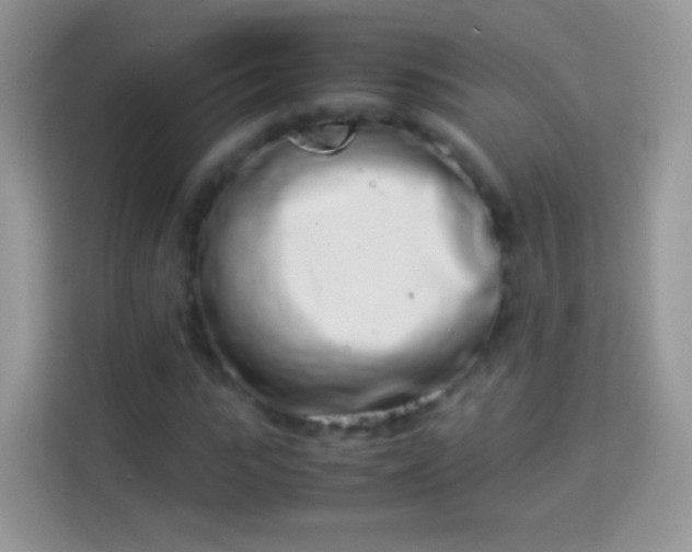 X0000113990919200910091335