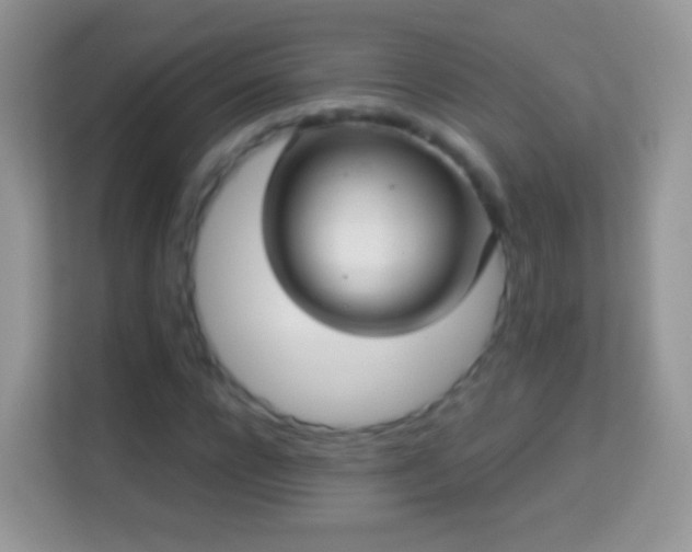 X0000113990920200910091335