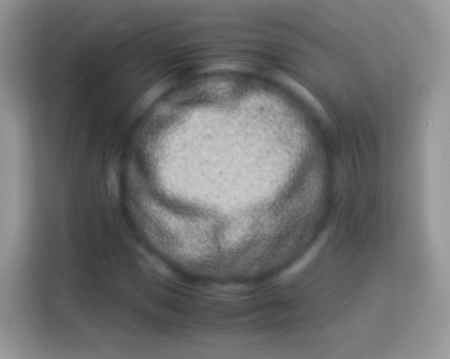 X0000113990921200910091335